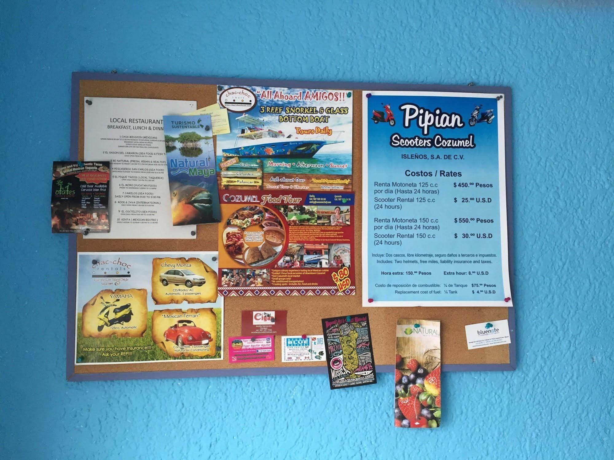 Caribo